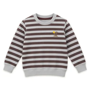 Boys Brown & Silver Grey Striped Sweatshirt