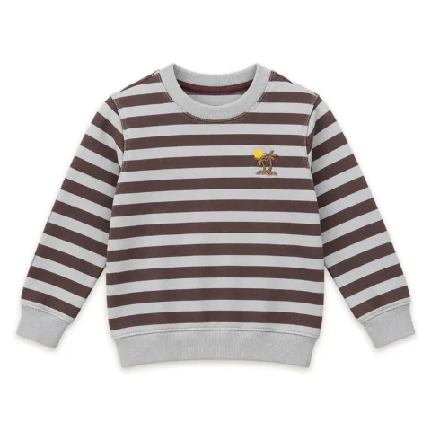 Boys Brown & Silver Grey Striped Sweatshirt