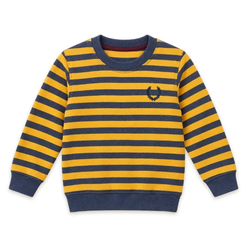 Boys Mustard Yellow & Navy Blue Striped Sweatshirt